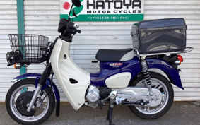 HONDA C110 SUPER CUB PRO 2022 JA61
