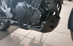 SUZUKI STROM 250 DS11A