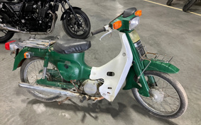 SUZUKI BIRDIE50DX FR50
