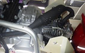 HONDA C110 SUPER CUB