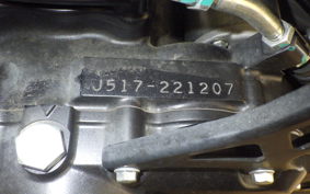 SUZUKI GSX250RA