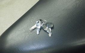 HONDA GYRO CANOPY 2007 TA03