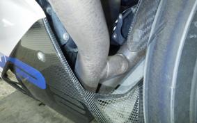 BMW HP2 SPORT 2009
