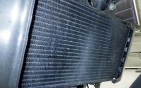 HUSQVARNA SVARTPILEN 250