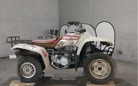HONDA TRX300FW TE15