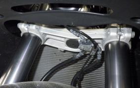 KAWASAKI NINJA 1000 A 2019 ZXT00W