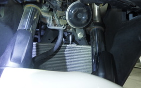 YAMAHA YZF-R25 2015 RG10J