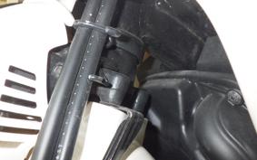 HONDA C110 SUPER CUB JA44