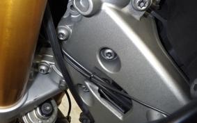 YAMAHA MT-09 2014 RN34J