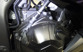 KAWASAKI NINJA 250 ABS 2024 EX250L
