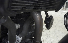 HUSQVARNA SVARTPILEN 401 2021
