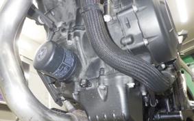 HONDA NX400 2024 NC65