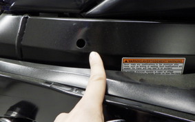 SUZUKI GSX-R1000 2006