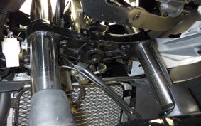 SUZUKI GSX250RA