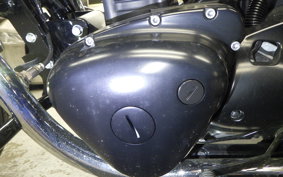 KAWASAKI W800 STREET 2022 EJ800E