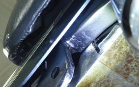 KAWASAKI Z900 2026 Z1F