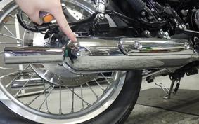 KAWASAKI W800 STREET 2021 EJ800E