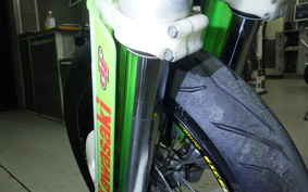 KAWASAKI KDX250SR 2025 DX250F