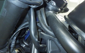 HONDA REBEL 250 S 2025 MC49