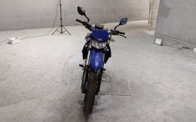 KAWASAKI D-TRACKERX LX250V