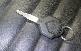 OTHER +UNREGISTERED MODEL by BDS125