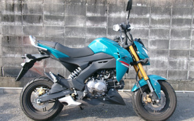 KAWASAKI Z125 PRO BR125H
