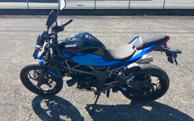 KAWASAKI Z250 SL BR250E