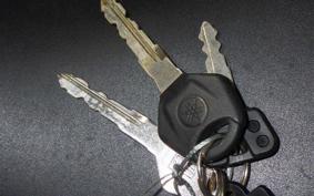 YAMAHA YZF-R25 RG43J