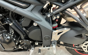 TRIUMPH SPEED TRIPLE 2013 TPN105