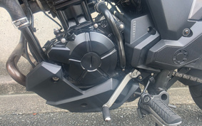 KAWASAKI VERSYS-X 250 ABS LE250D