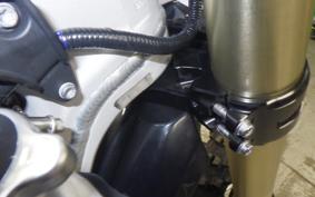 TRIUMPH TRIUMPH TF450XRC