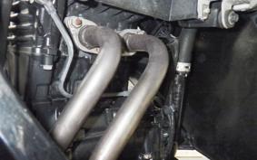 KAWASAKI NINJA 250 EX250L