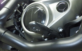 HARLEY RH975S 2025