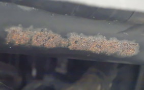 HONDA DIO Gen.6 AF68