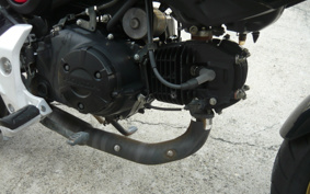HONDA GROM JC61
