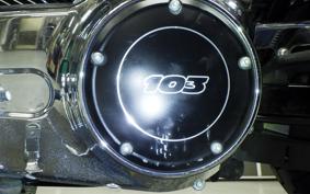 HARLEY FXDL1690 2017