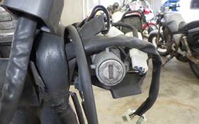 MALAGUTI PHANTOM MAX(ショナシ