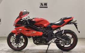 OTHER +メガリ250R