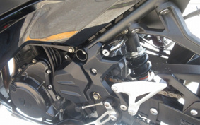 KAWASAKI NINJA 250 EX250P