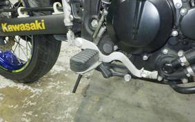 KAWASAKI KLX250D TRACKER X 2019 LX250V