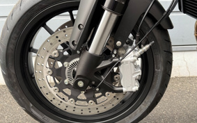 HARLEY  HARLEY LWZX500 2024 W5B