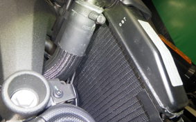 DUCATI MONSTER 937 + 2024