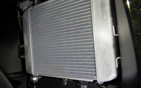 SUZUKI GSX-R125 2021 DL33B