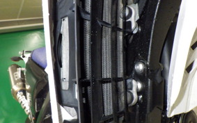 YAMAHA WR250X DG15J