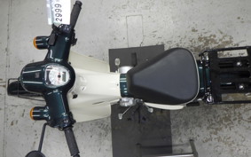 HONDA C110 SUPER CUB