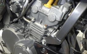 HONDA HORNET 250 2010 MC31