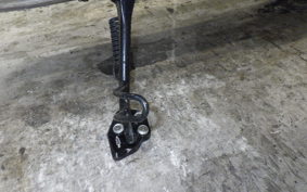 KAWASAKI W800 2024 EJ800E