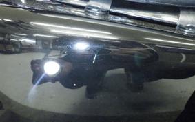 HARLEY XL1200XS 2019