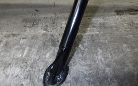 KAWASAKI ZX-4R SE 2025 ZX400P