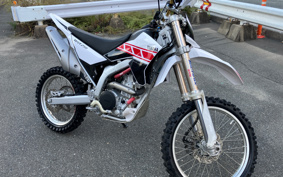 YAMAHA WR250R DG15J